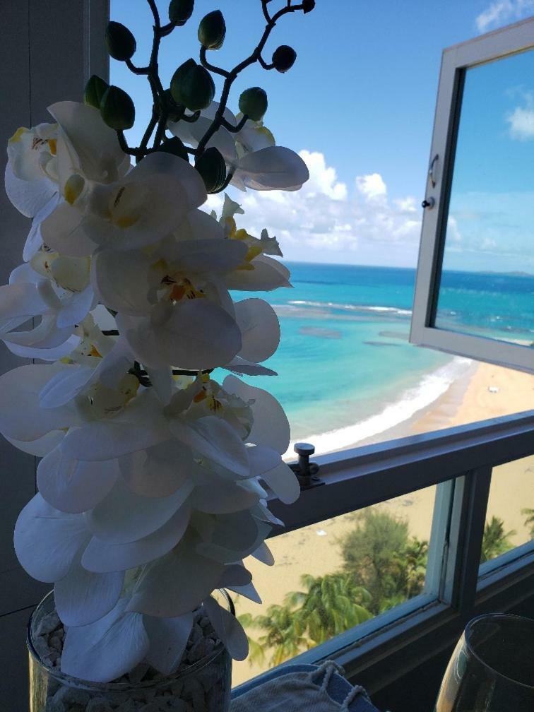 לוקווילו Breezy Beachfront Property With View Of Paradise מראה חיצוני תמונה
